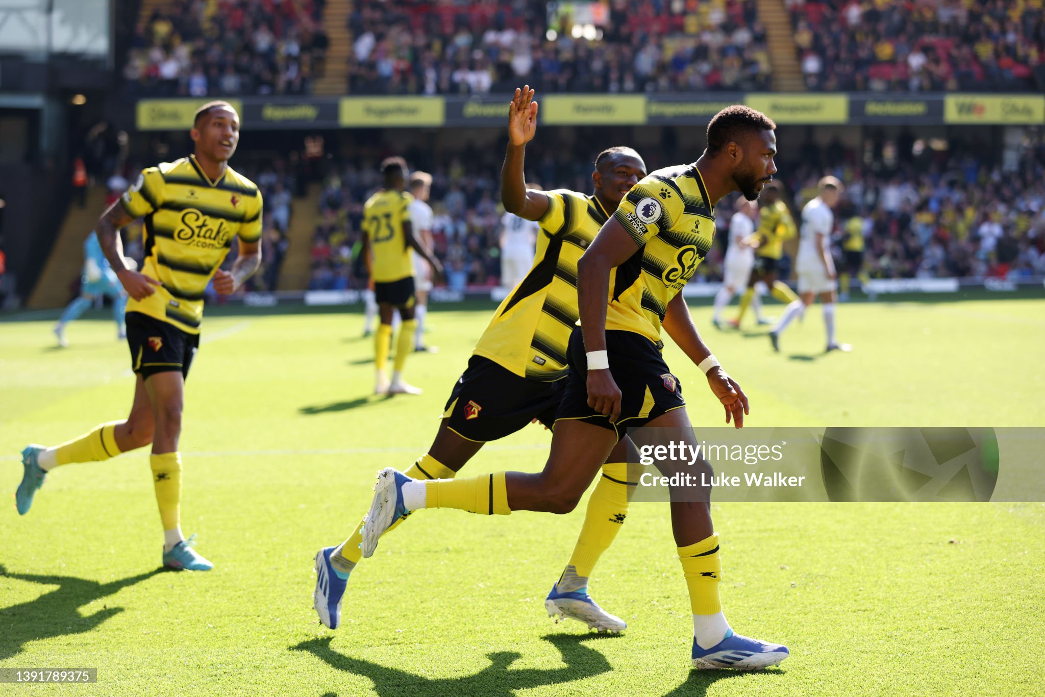 Celtic target Dennis celebrates his goal for Watford