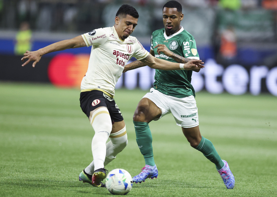 Newcastle United news