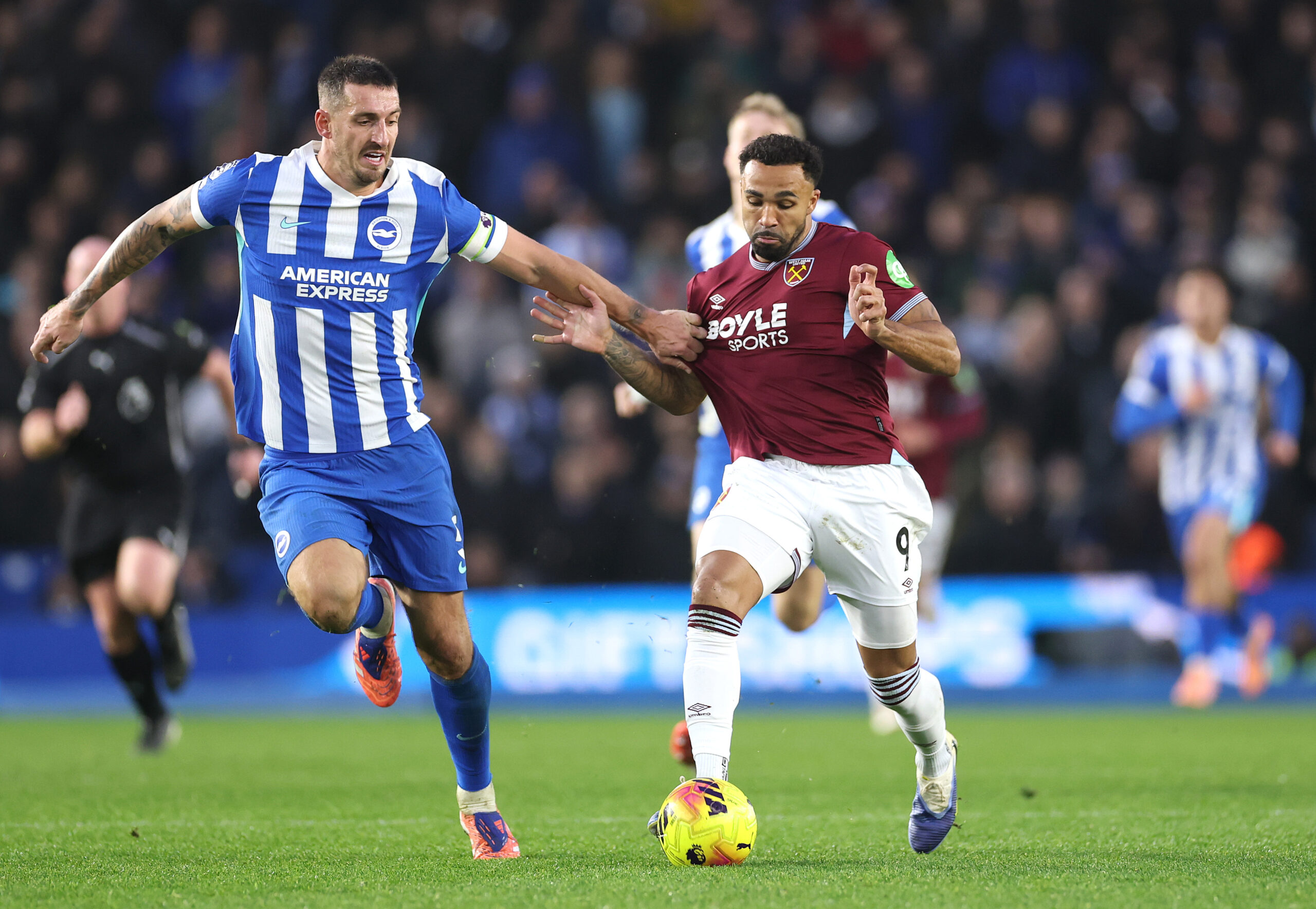 Celtic target Wilson in action against Brighton
