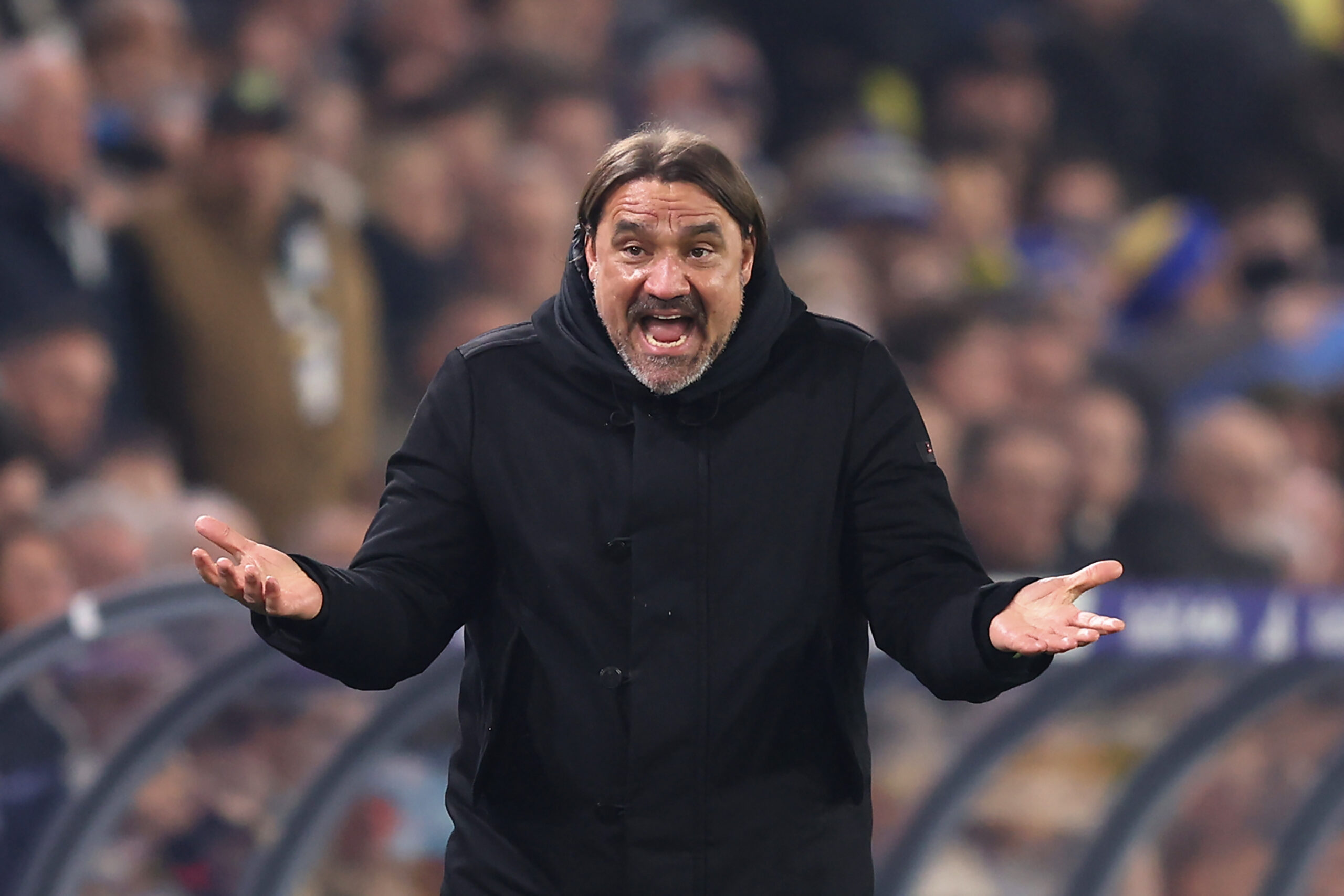 Daniel Farke Leeds United