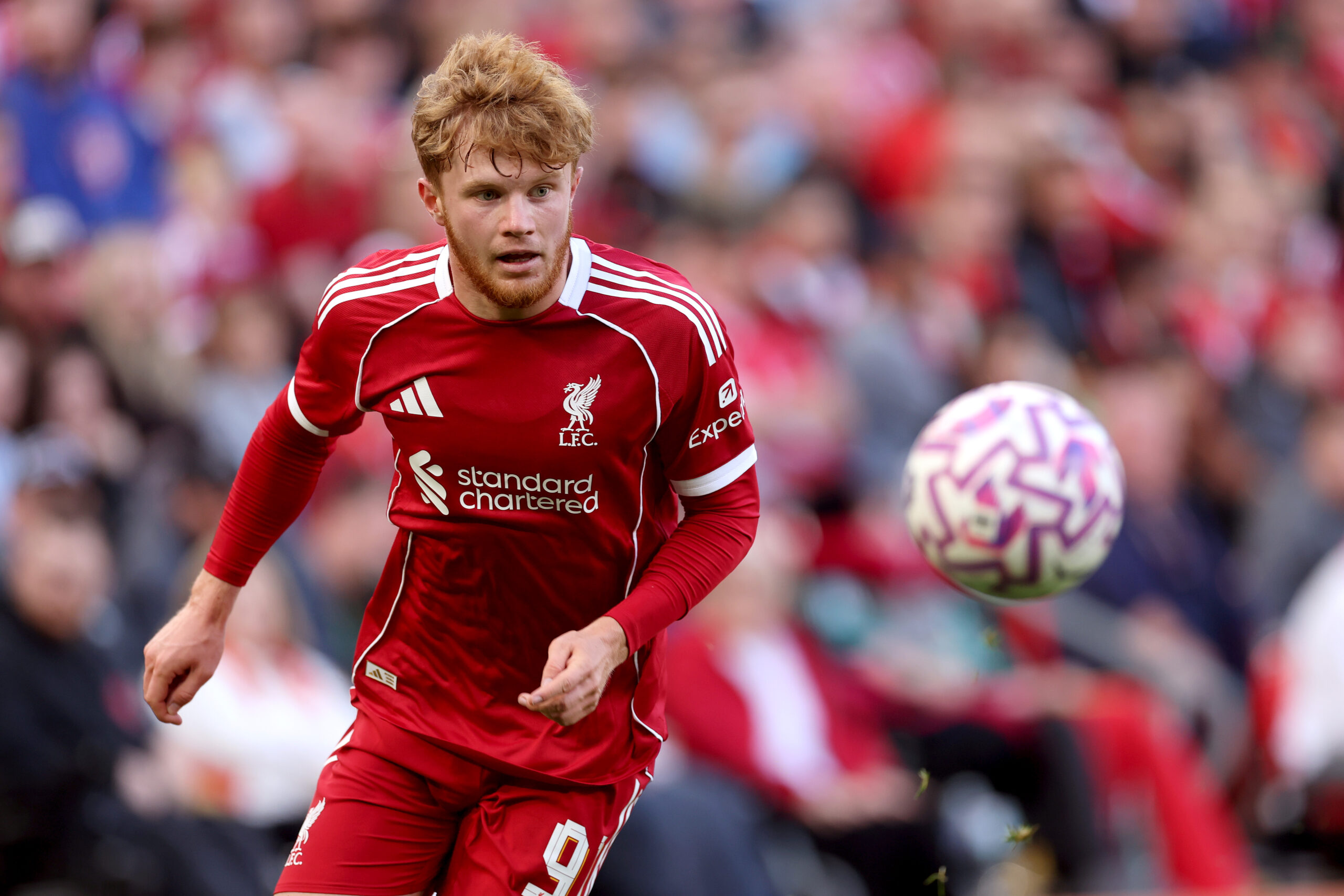 Luca Stephenson to Rangers?