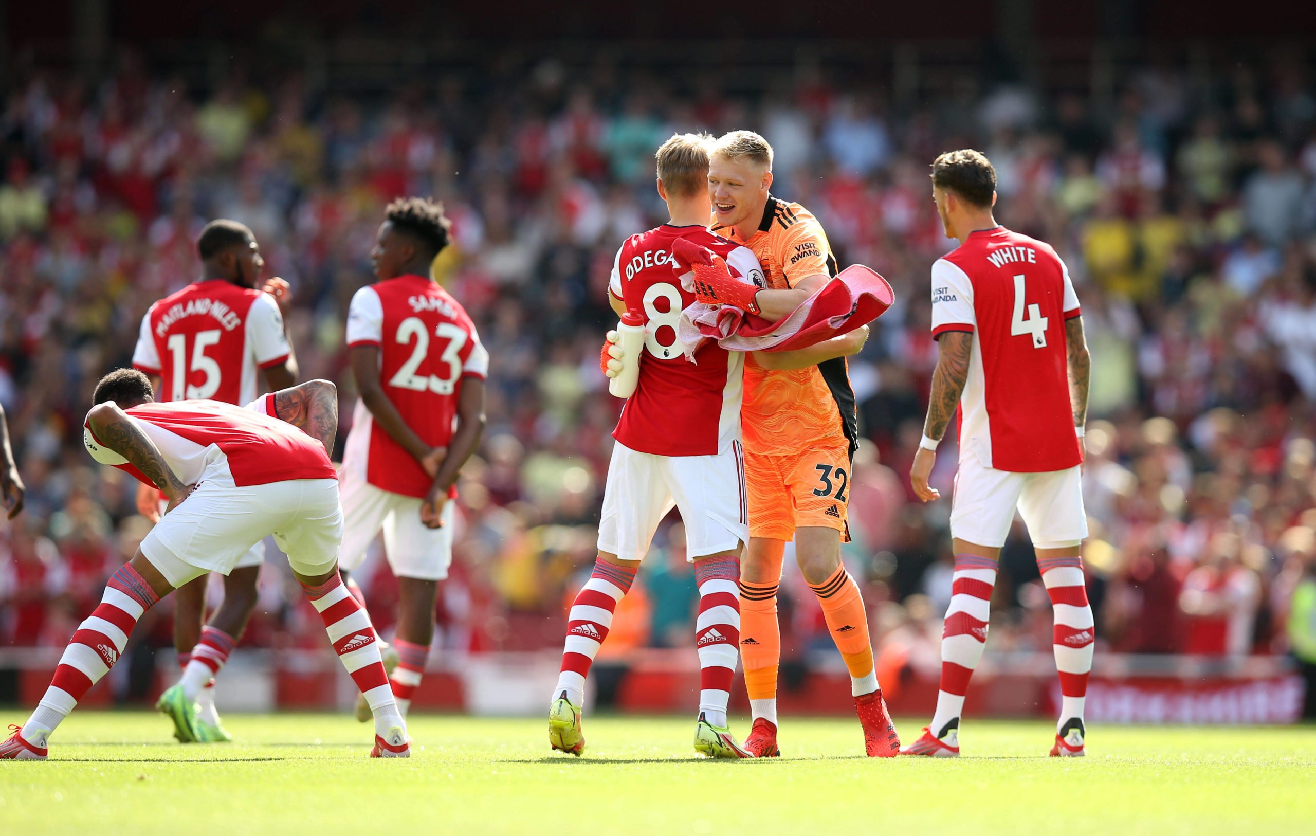 Arsenal player ratings vs Norwich City (Arsenal players are seen in the picture)
