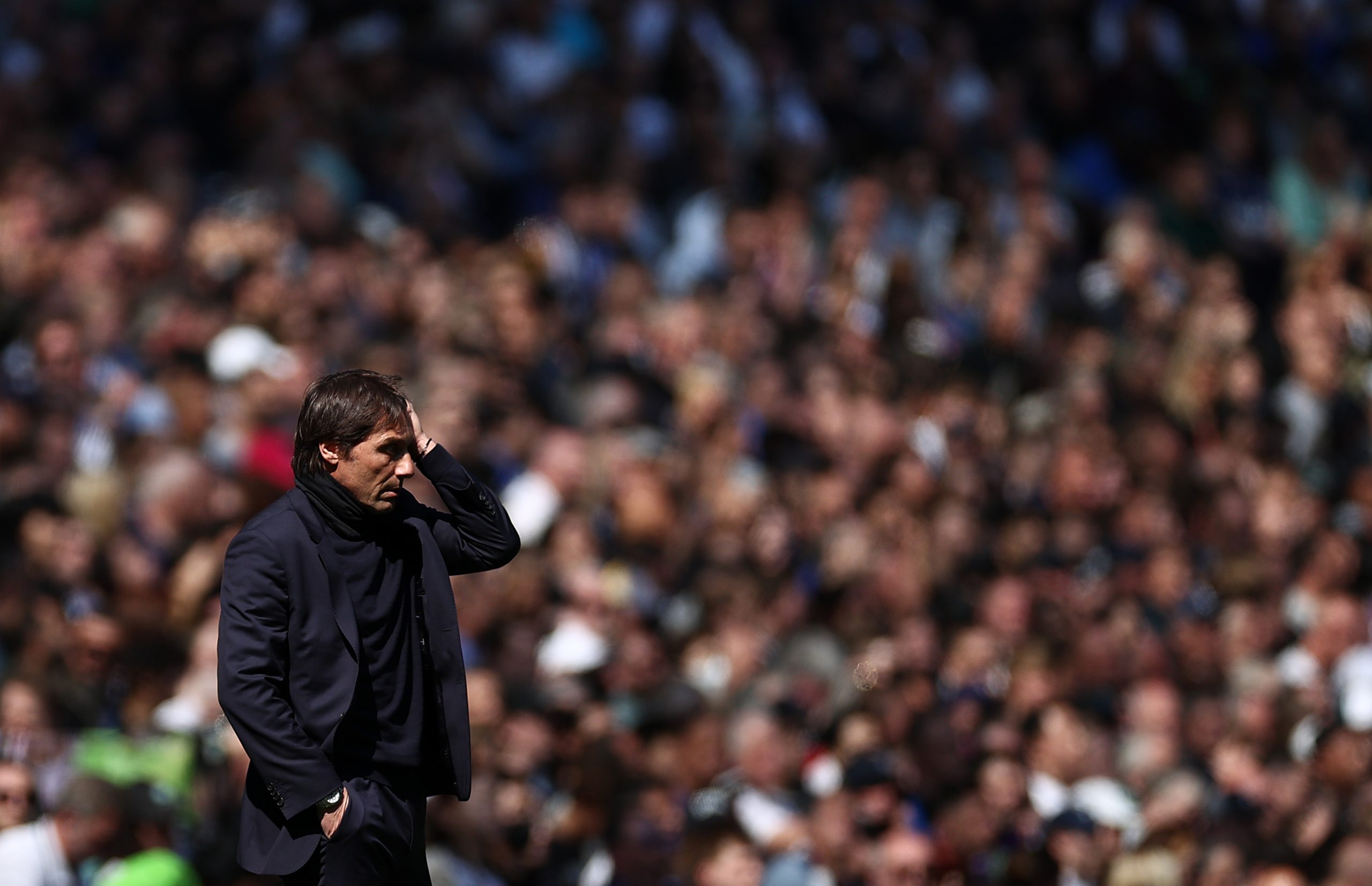 Antonio Conte head coach of Tottenham Hotspur