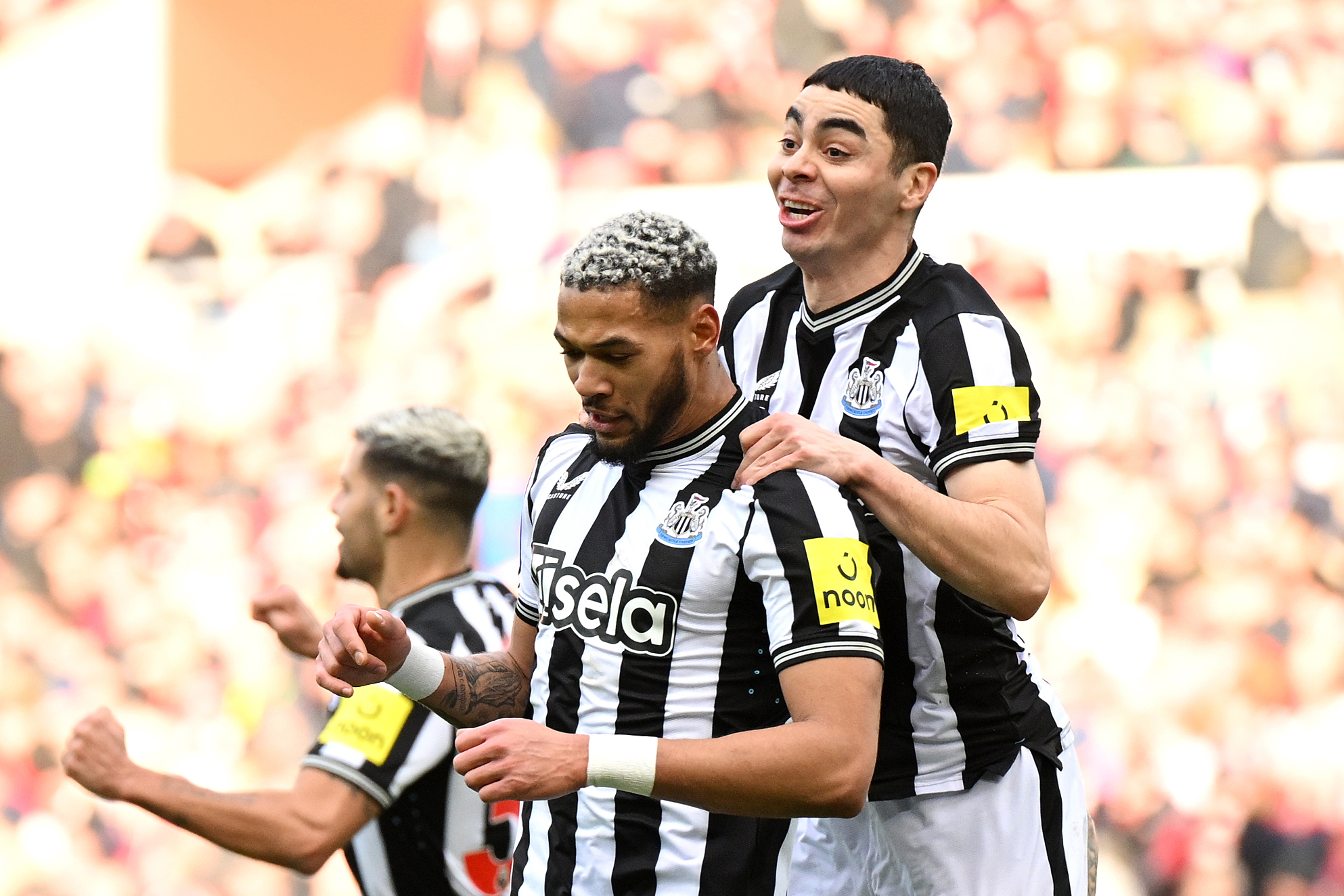 Newcastle United Player Ratings Vs Sunderland- The 4th Official