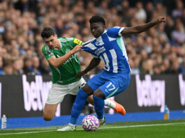 Manchester United Could Reignite Their Interest In This Brighton Midfielder: Good Choice For Amorim? Manchester United