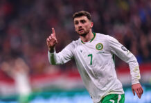 Everton Are Interested In This 23-Year-Old Republic Of Ireland International: Will He Be A Good Fit For The Toffees? Everton
