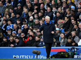 Former Goodison Park Chief Tips Everton To Sign 25-Year-Old Striker: Good Replacement For Beto? Former Goodison Park Chief Tips Everton To Sign Striker