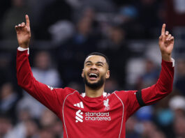 Alisson, Szoboszlai And Gravenberch Get 8 | Liverpool Players Rated In Comfortable Win Vs Marseille Liverpool