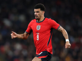 Tottenham Hotspur Forward Is On The Radar Of Newcastle United: Should Spurs Cash In On Him? Tottenham Hotspur