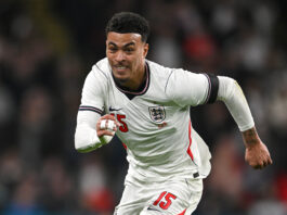 Chelsea Are Determined To Land This Aston Villa Playmaker: Good Choice For Rosenior? Chelsea