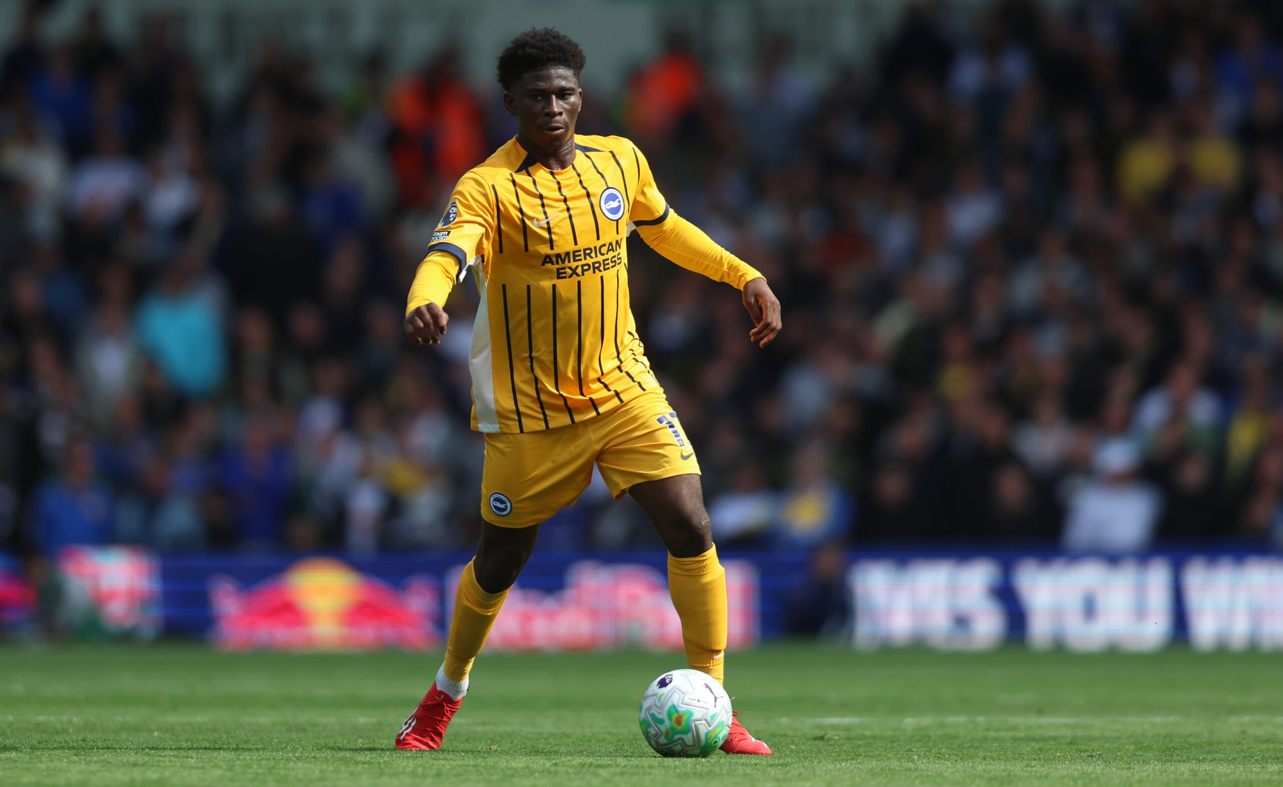 Tottenham Hotspur Are Planning To Move In For This Brighton Midfielder: Dream Option For De Zerbi? - The 4th Official