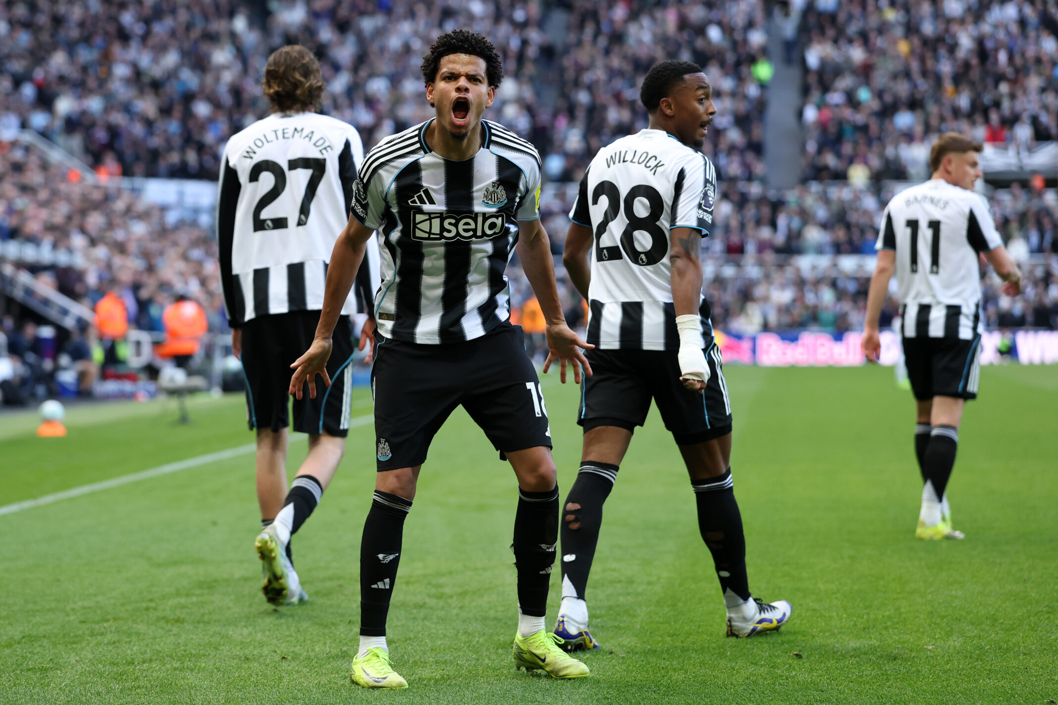 Newcastle United player ratings vs West Ham United